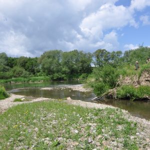 Ústie potoka Ľubotínka do rieky Poprad. Foto: V. Kĺčová Kunštárová